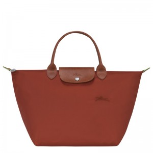 Longchamp Le Pliage Green M Handbag Chestnut | YF8596130