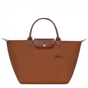 Longchamp Le Pliage Green M Handbag Cognac | DI4120368