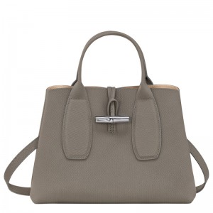 Longchamp Le Roseau M Handbag Turtledove | VJ4891326