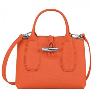 Longchamp Le Roseau S Handbag Naranjas | QW1358924