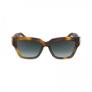 Longchamp Sunglasses Havana | NK2483769