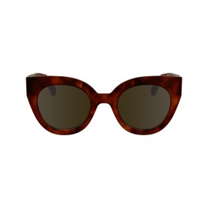 Longchamp Sunglasses Marrones | JE4962815