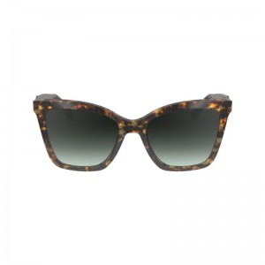 Longchamp Sunglasses Tokio Havana | AK6491083