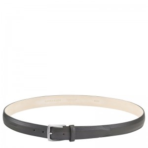 Longchamp Végétal Belt Gris | JU4396701