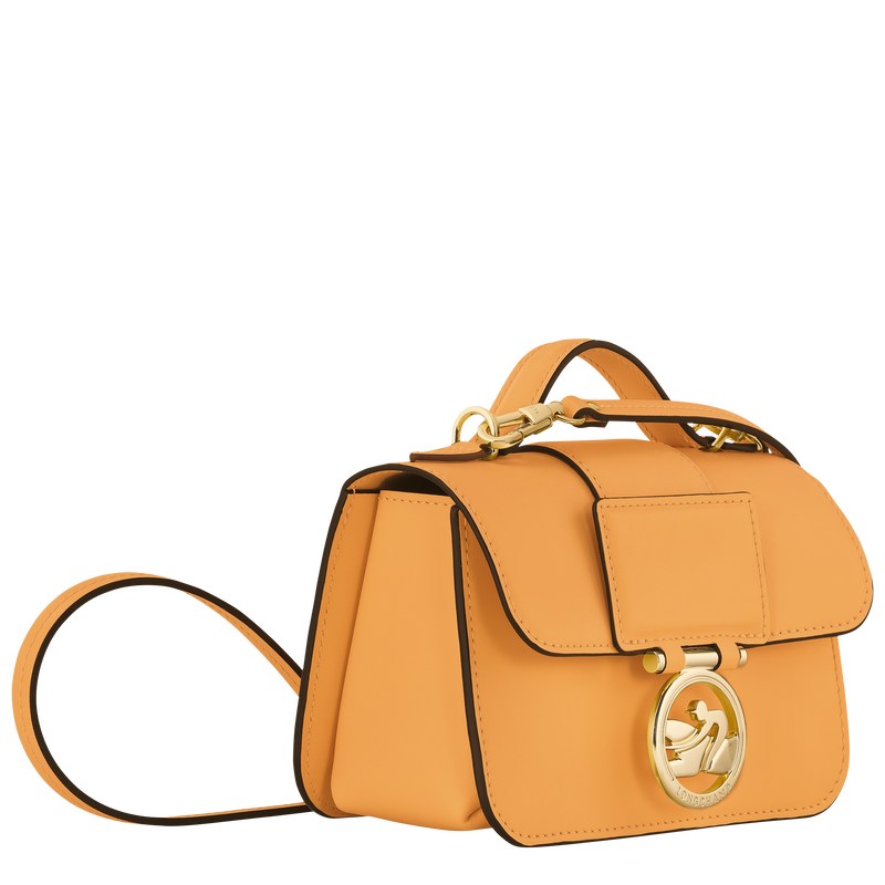 Longchamp Box-trot Xs Crossbody Bag Albaricoque | QK6034291