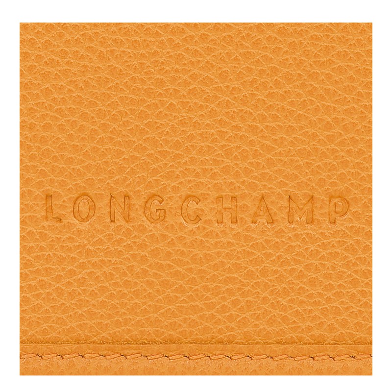 Longchamp Le Foulonné Xs Clutch Albaricoque | FG6812759