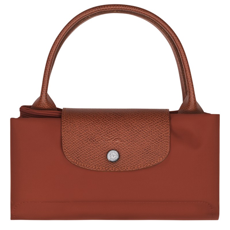 Longchamp Le Pliage Green M Handbag Chestnut | YF8596130