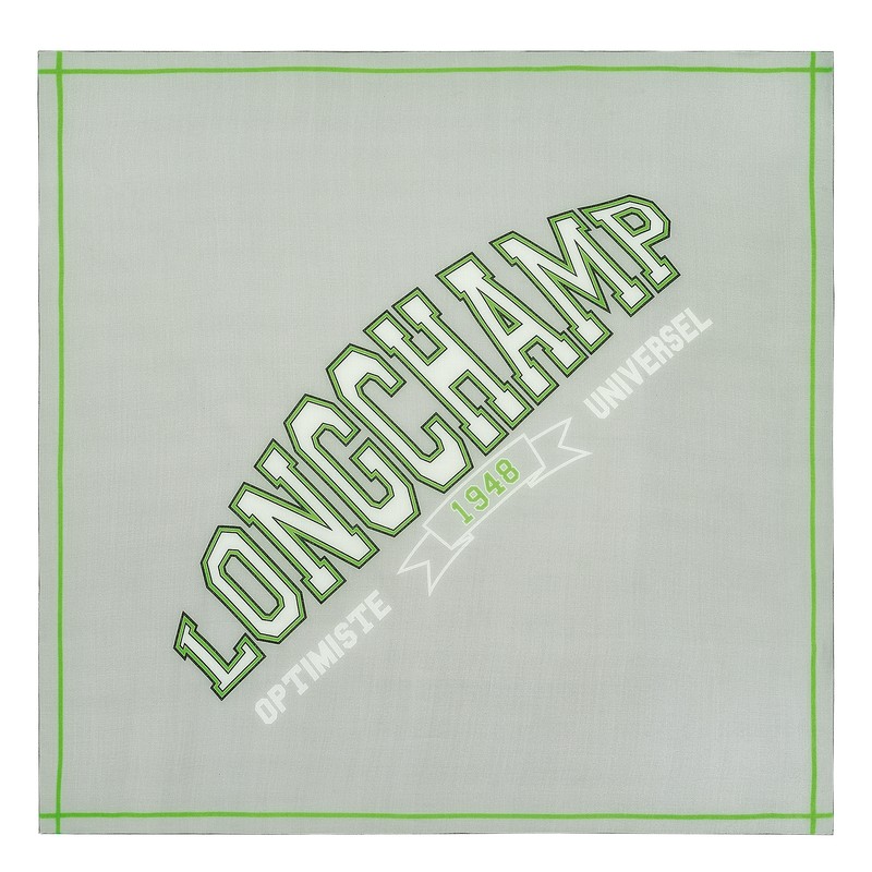 Longchamp Le Pliage University Scarf Gris | GI5820749