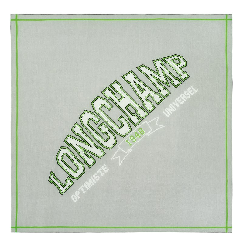 Longchamp Le Pliage University Scarf Gris | WN6128049