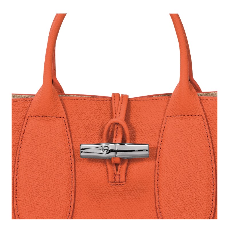 Longchamp Le Roseau M Handbag Naranjas | HA2965187