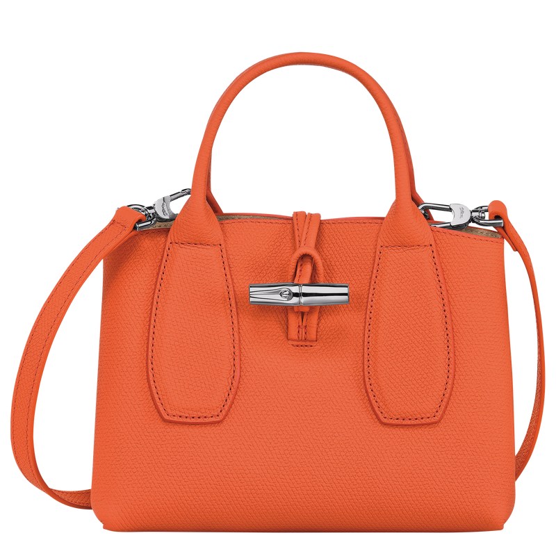 Longchamp Le Roseau S Handbag Naranjas | QW1358924