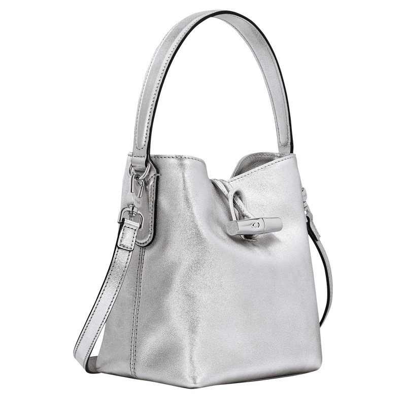 Longchamp Le Roseau Xs Bucket Bag Plateadas | RK2610734