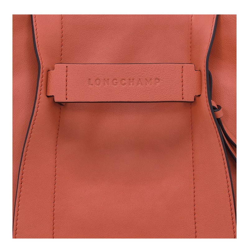 Longchamp Longchamp 3d S Crossbody Bag Sienna | VG8297650