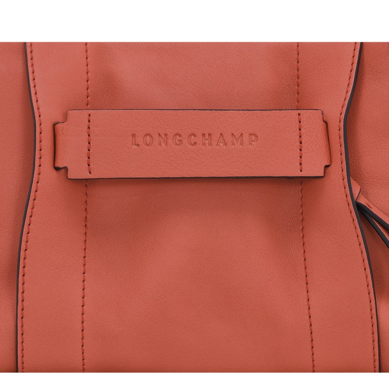 Longchamp Longchamp 3d S Crossbody Bag Sienna | FX3920678