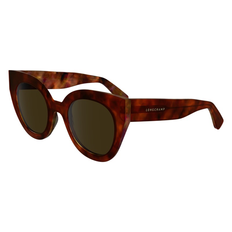 Longchamp Sunglasses Marrones | JE4962815