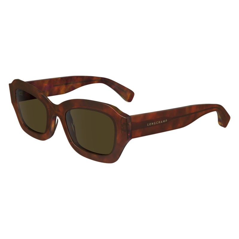 Longchamp Sunglasses Marrones | ZU3706159