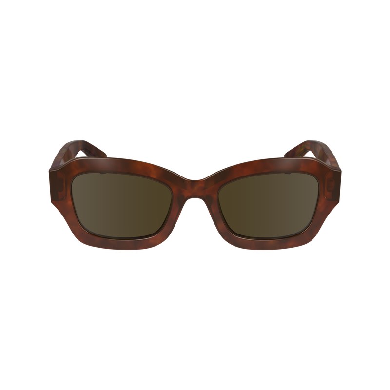 Longchamp Sunglasses Marrones | ZU3706159