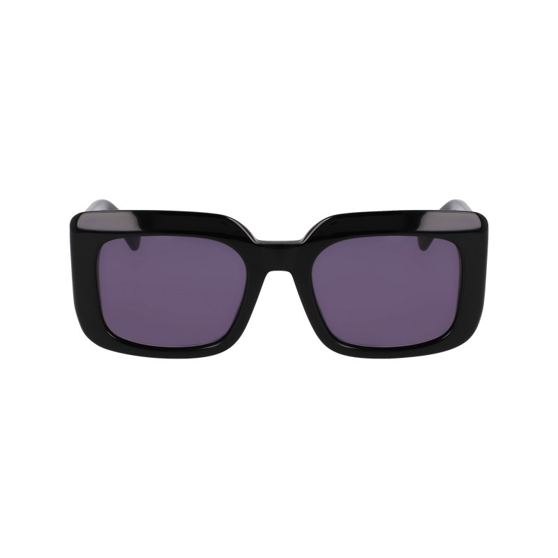 Longchamp Sunglasses Negras | HL5402813